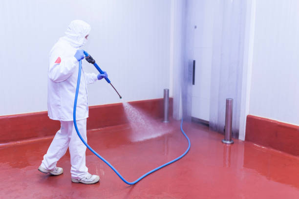 Best Sidewalk and Walkway Cleaning  in Kingstown, MD
