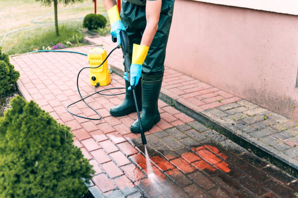 Animal Enclosure Cleaning in Kingstown, MD